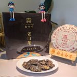 WhatsApp Image 2025-08-22 at 7.44.08 AM